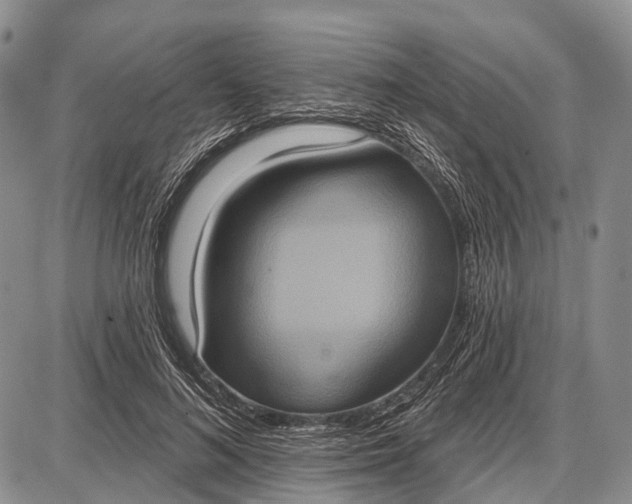 X0000087700692200705181820