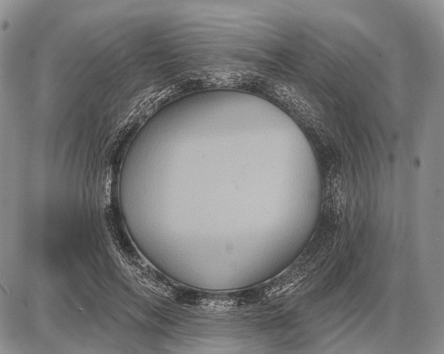 X0000087700694200705181820