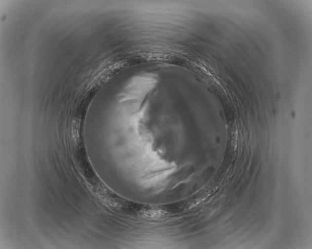 X0000087700695200705181820