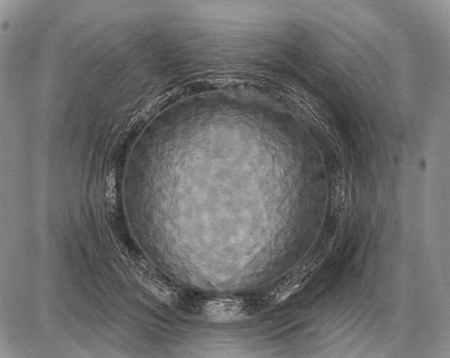 X0000087700700200705181820
