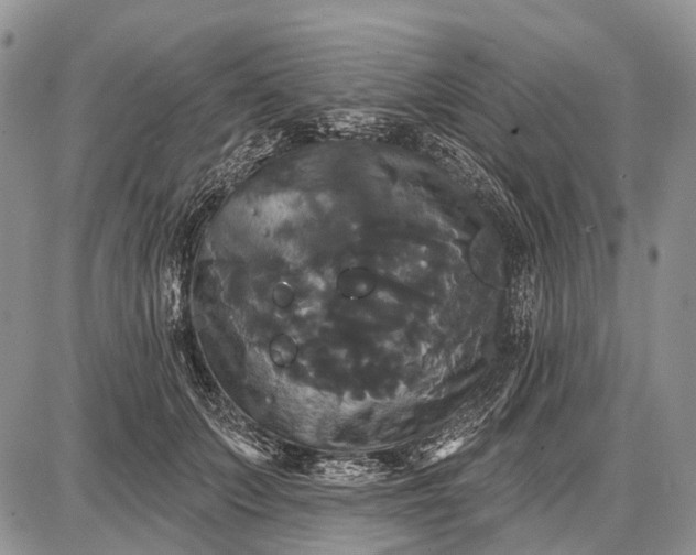 X0000087700703200705181820