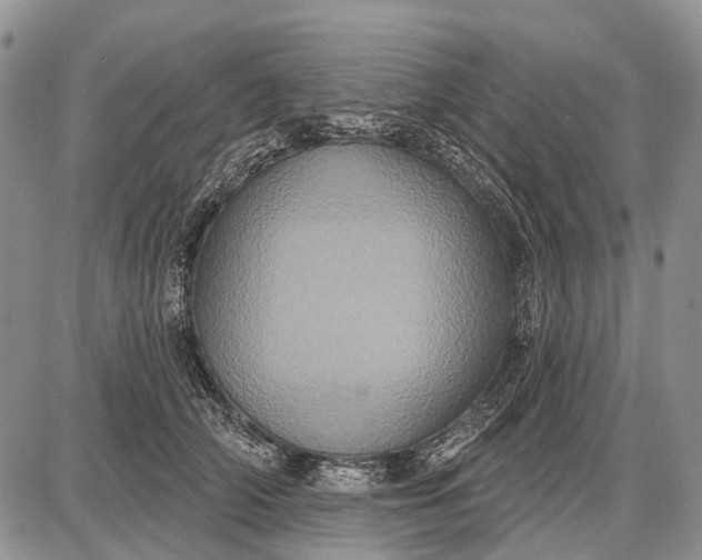 X0000087700706200705181820