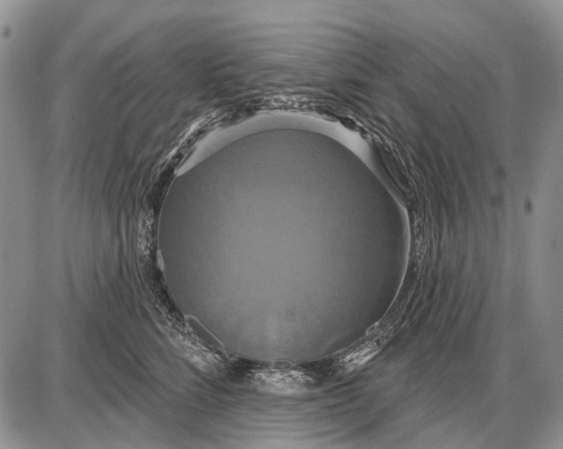 X0000087700712200705181820