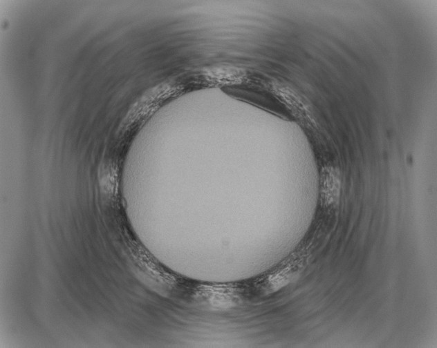 X0000087700713200705181820