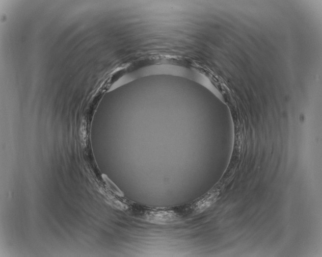 X0000087700716200705181820