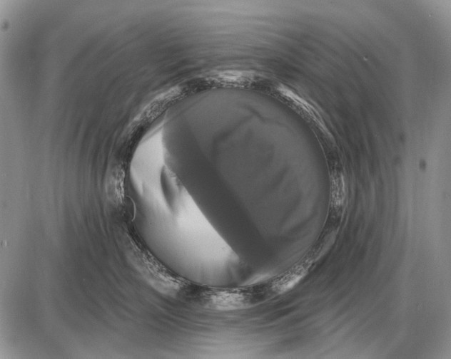 X0000087700718200705181819