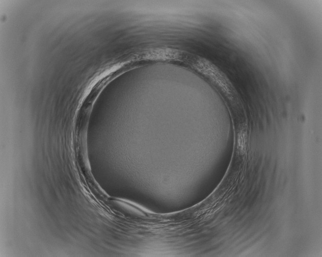 X0000087700724200705181819