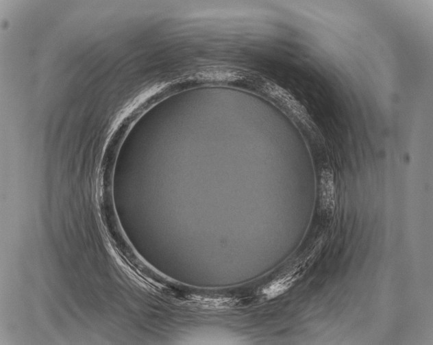 X0000087700726200705181819