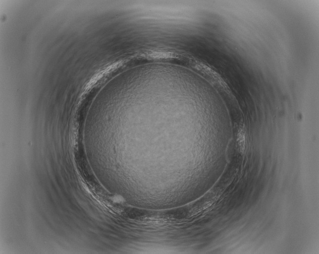 X0000087700732200705181819