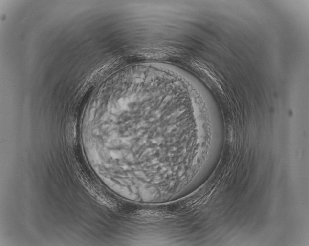 X0000087700733200705181819