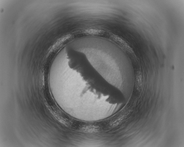 X0000087700734200705181819