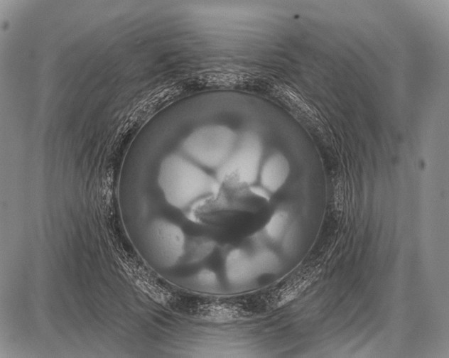 X0000087700737200705181819