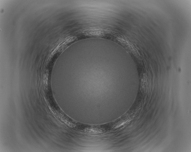 X0000087700739200705181819