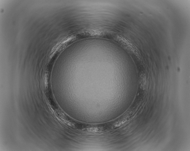 X0000087700740200705181819