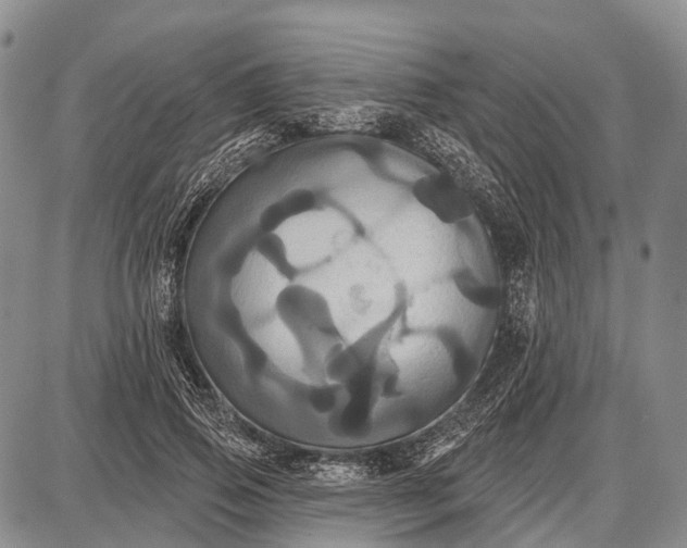 X0000087700741200705181819