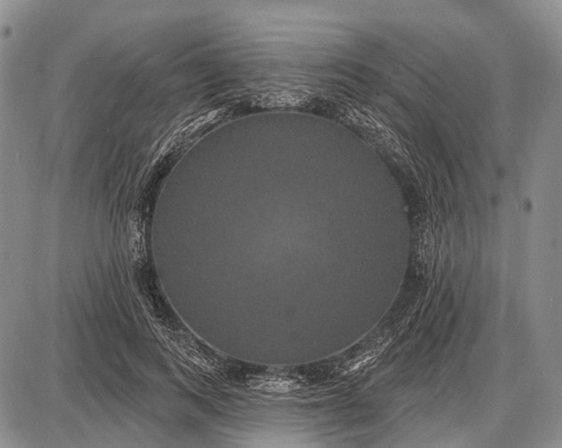 X0000087700743200705181819