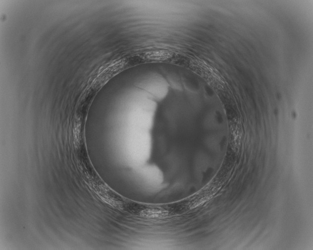 X0000087700745200705181819