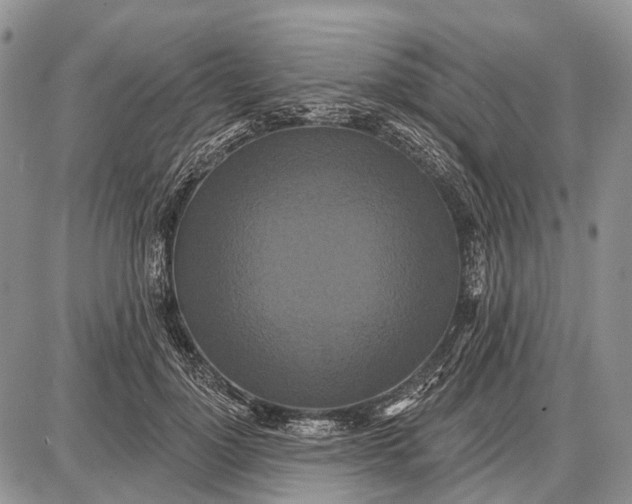 X0000087700748200705181819