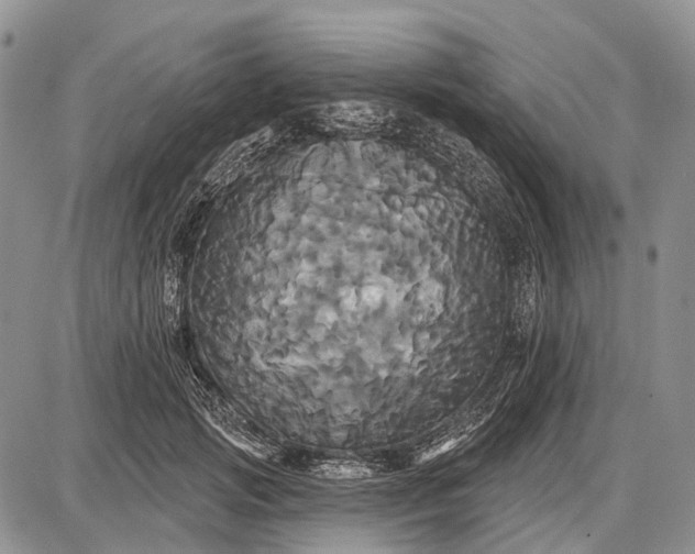 X0000087700749200705181819