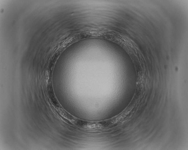 X0000087700752200705181819