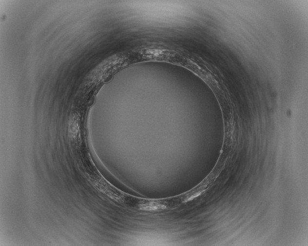 X0000087700754200705181819