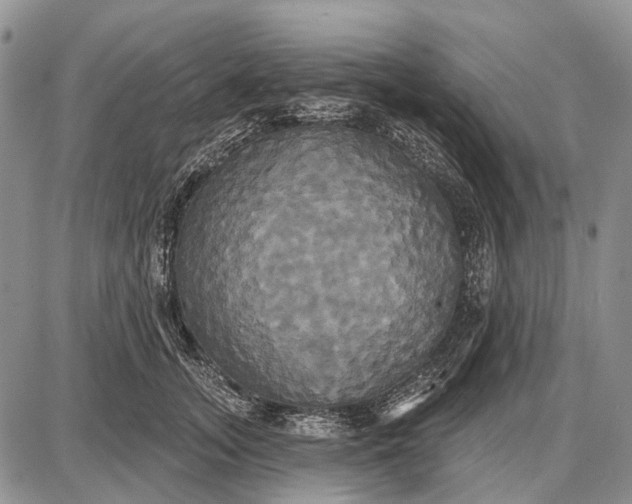 X0000087700755200705181819