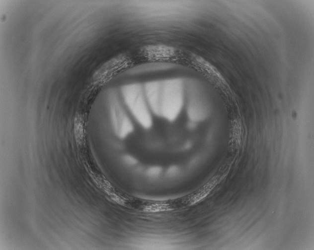 X0000087700761200705181819