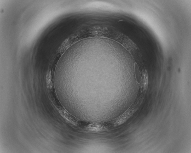 X0000087700764200705181819