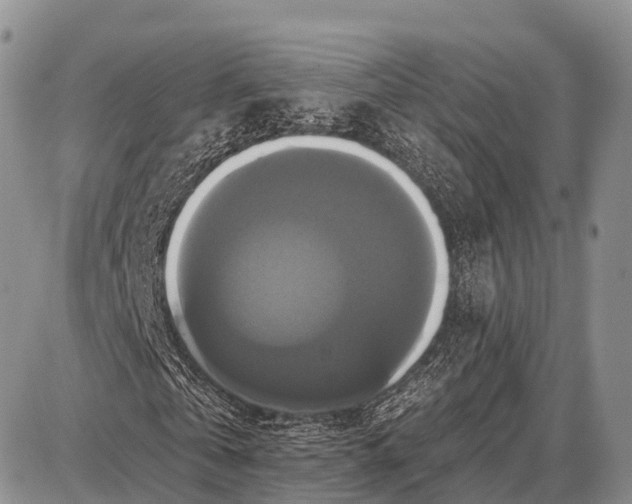 X0000087700769200705181819