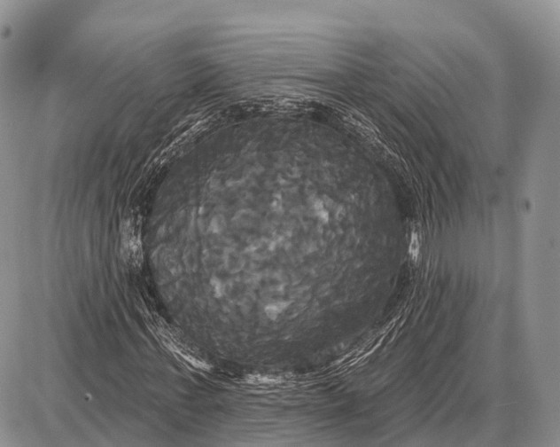 X0000087700771200705181819