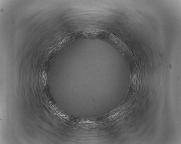 X0000087700772200705181819