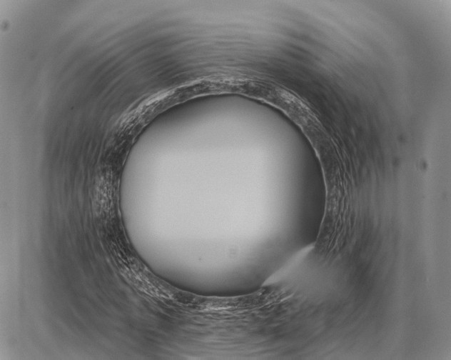 X0000087700773200705181819