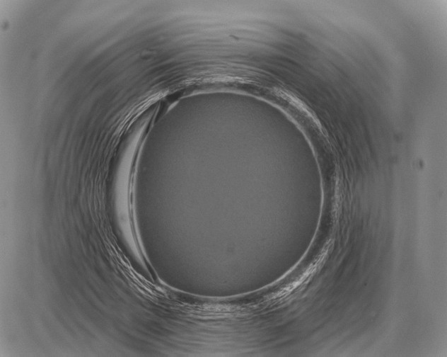 X0000087700777200705181819