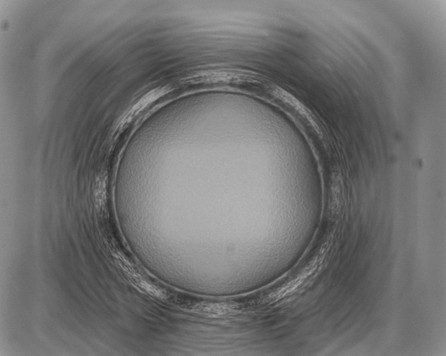 X0000087700778200705181818
