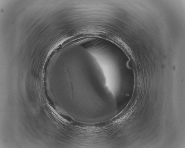 X0000087700779200705181818