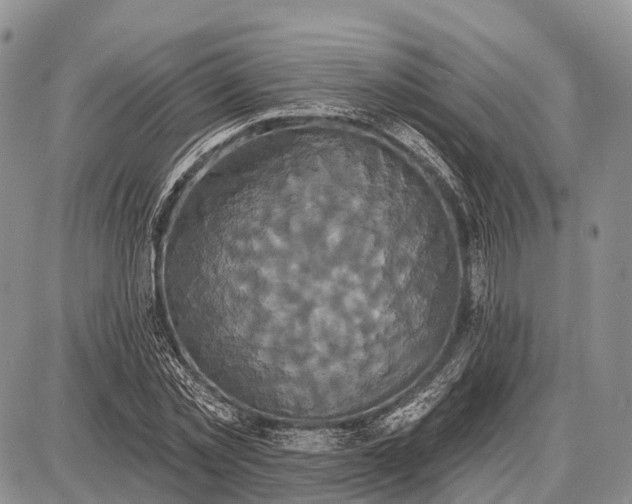 X0000087700781200705181818