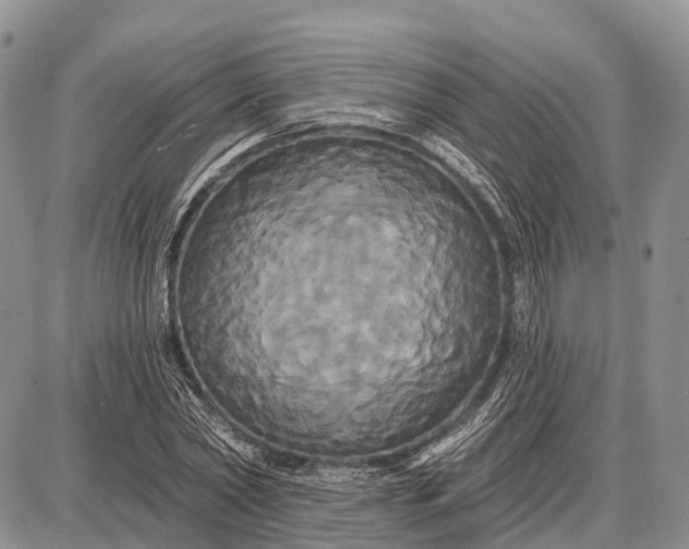 X0000087700782200705181818