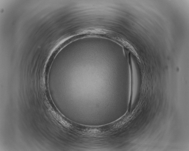 X0000087700784200705181818