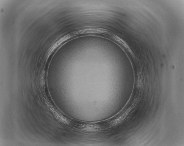 X0000087700786200705181818