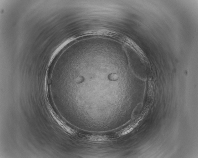 X0000087700788200705181818