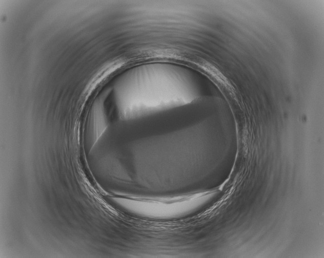 X0000087700790200705181818