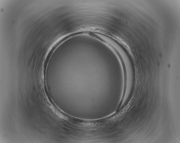 X0000087700792200705181818
