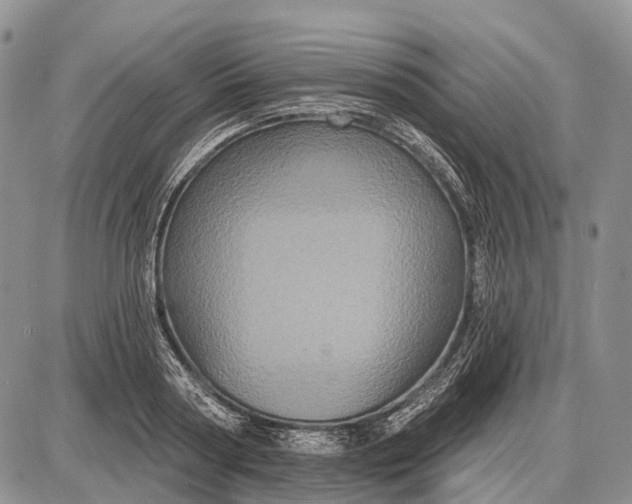 X0000087700794200705181818