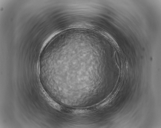X0000087700796200705181818