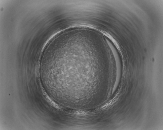 X0000087700799200705181818