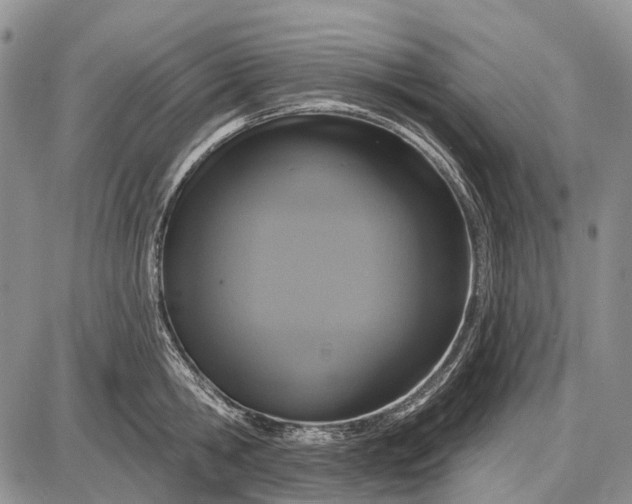 X0000087700806200705181818