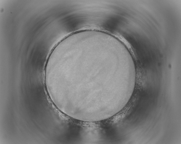 X0000087700807200705181818