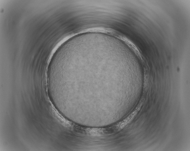 X0000087700808200705181818