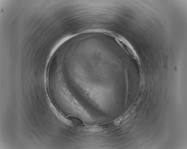X0000087700811200705181818