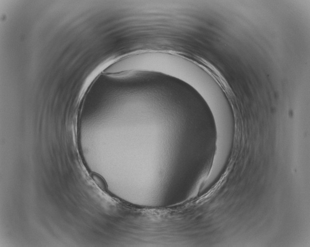 X0000087700812200705181818